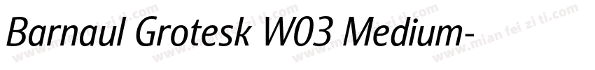 Barnaul Grotesk W03 Medium字体转换